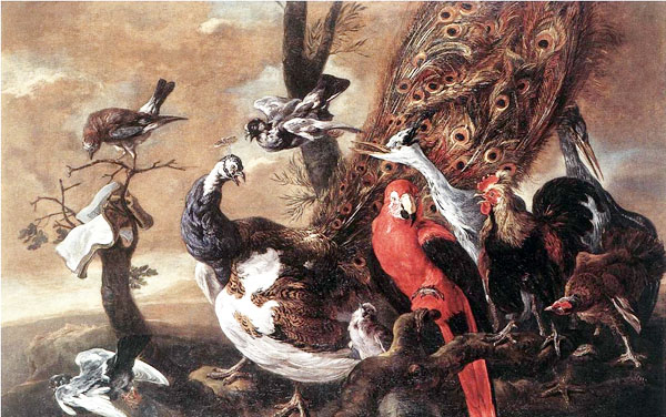 20120515 Fyt Jan - Bird Concert - 17th c