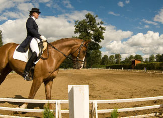 W minioną sobotę 24.10.2008r. na Miłosnej odbył się tradycyjny bieg miłośników św. Huberta milosna1