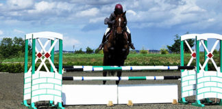 19 12 2012skokiprzeszkody