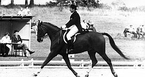 20 12 2012milosna zagor