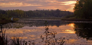 13 03 2013 warsztaty