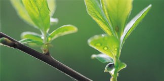 22 04 2013 dzien ziemi