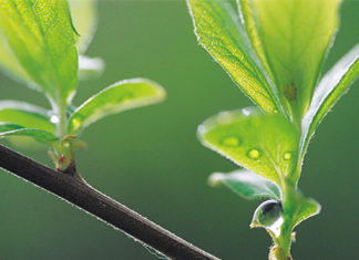 22 04 2013 dzien ziemi