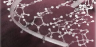 29 04 2013 kmok maj wyklad mini