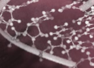 Możliwości i ograniczenia genetyki sądowej 29 04 2013 kmok maj wyklad mini