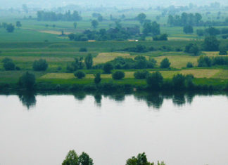 Kto i jak ma rozmawiać z inwestorami? 31 05 2013 wisla