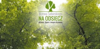 22 07 2013 sobieskiego