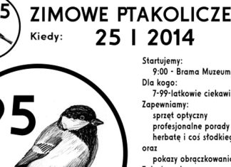 21 01 2014 ptakoliczenie1