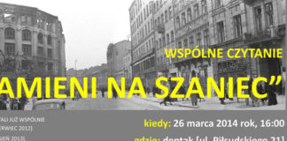 20 03 2014 kamienie1