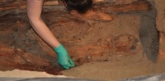 23 07 2014 archeolodzy Gniew