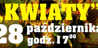 16 10 2014 kwiaty1