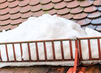 22 10 2014 inspektor