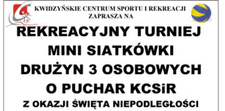 29 10 2014 siatkowka1