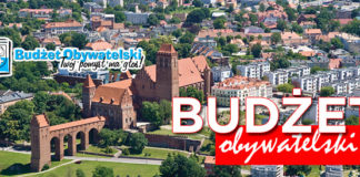 19 06 2015 budzet