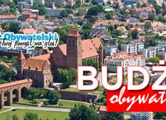 19 06 2015 budzet