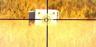 29 06 2015 strzeleckie