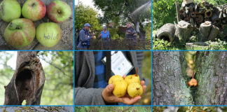 12 10 2015 wycieczka