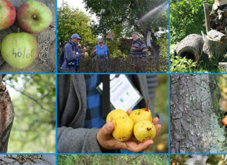 12 10 2015 wycieczka