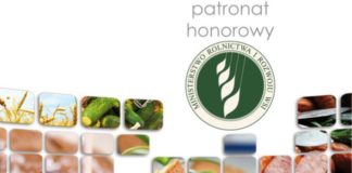 02 11 2015 sliwka rakowiec