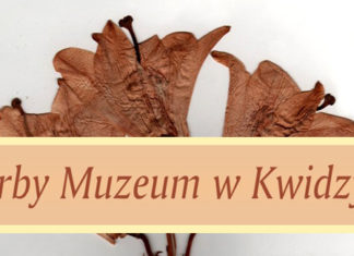 Stuletnie Lilie – skarby muzeum w Kwidzynie 04 11 2015 zielnik3