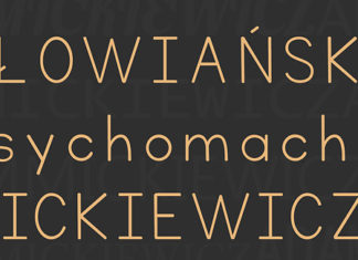 13 11 2015 mickiewicz1