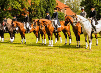 Zawody w skokach przez przeszkody 25 11 2015 milosna