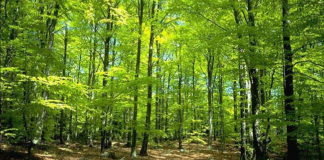 06 05 2016 warsztaty