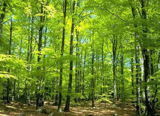 06 05 2016 warsztaty