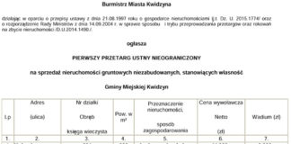 18 05 2016 puchatka1