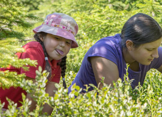 Kwitnące Wakacje 2016 24 05 2016 wakacje1
