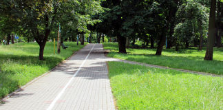 26 07 2016 parkMostowa maly