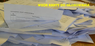 24 01 2017 KBO wzorkarty