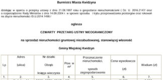 15 02 2017 kosciuszki1