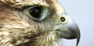 17 03 2017 szkolenie