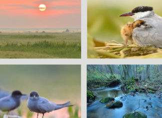 „Ulotny świat” – wystawa fotografii 28 11 2017 wystawa1