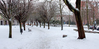 19 02 2018 inwestycje1