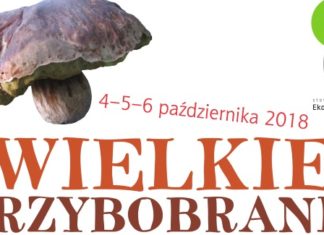 Wielkie grzybobranie 26 09 2018 grzybobranie