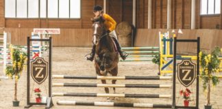 27 11 2018 zawody konne