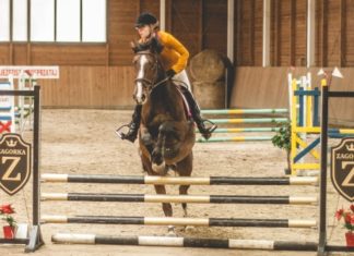 Halowe Regionalne i Towarzyskie Zawody w Skokach przez Przeszkody 27 11 2018 zawody konne