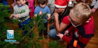 03 12 2018 strojenie choinek