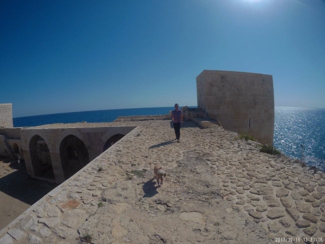 31 01 2019 prezentacja turcji3