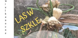 27 03 2019 las w szkle