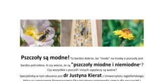18 07 2019 pszczoly miodne i niemiodne