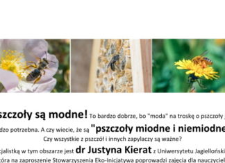 18 07 2019 pszczoly miodne i niemiodne