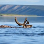 Kwidzynskie-Biesiady-Podroznicze