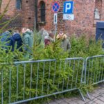 Choinki na sprzedaż