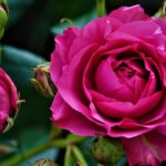 2020-02-10-Dzien_Kobiet