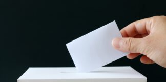 urna wyborcza wybory