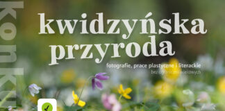 konkurs ekoinicjatywa