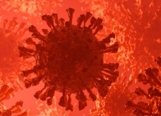 Proste zasady na koronawirusa